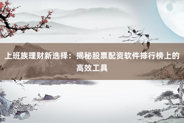 上班族理财新选择：揭秘股票配资软件排行榜上的高效工具