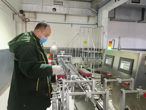 悦泰公司高效复工复产,旅行箱包生产稳步推进